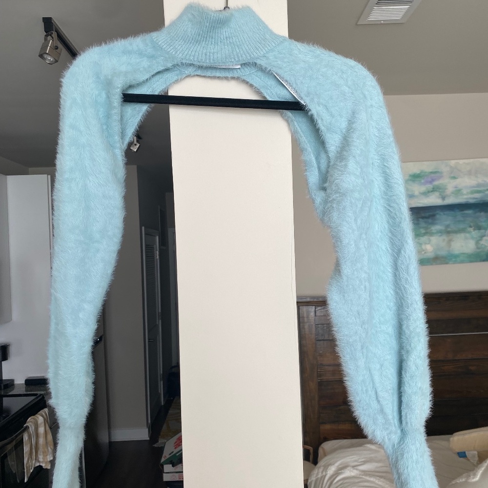 Zara Sweater Sleeves/Turtle Neck